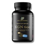 KGN 600