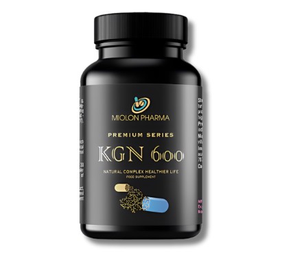 KGN 600 KGN 600